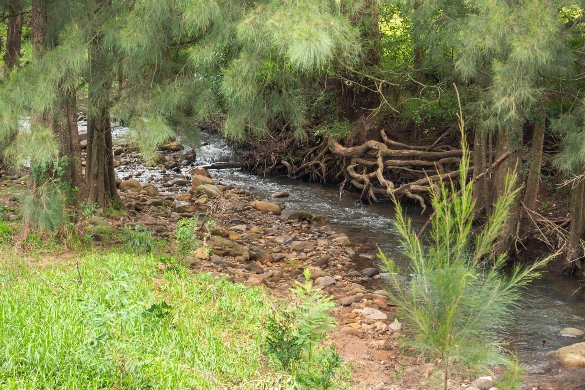 Cottage Comfort Kangaroo Valley Bagian luar foto